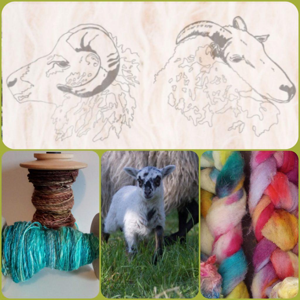 Skudden und Islandschafshof Hammermüller