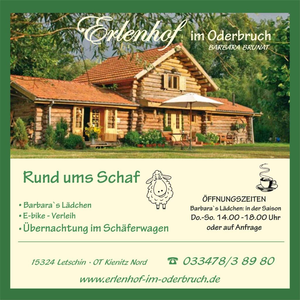 Erlenhof im Oderbruch – Rund ums Schaf