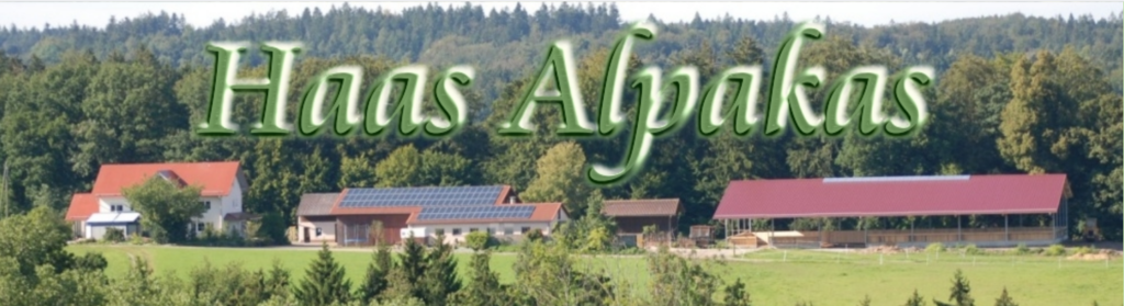 Haas-Alpakas