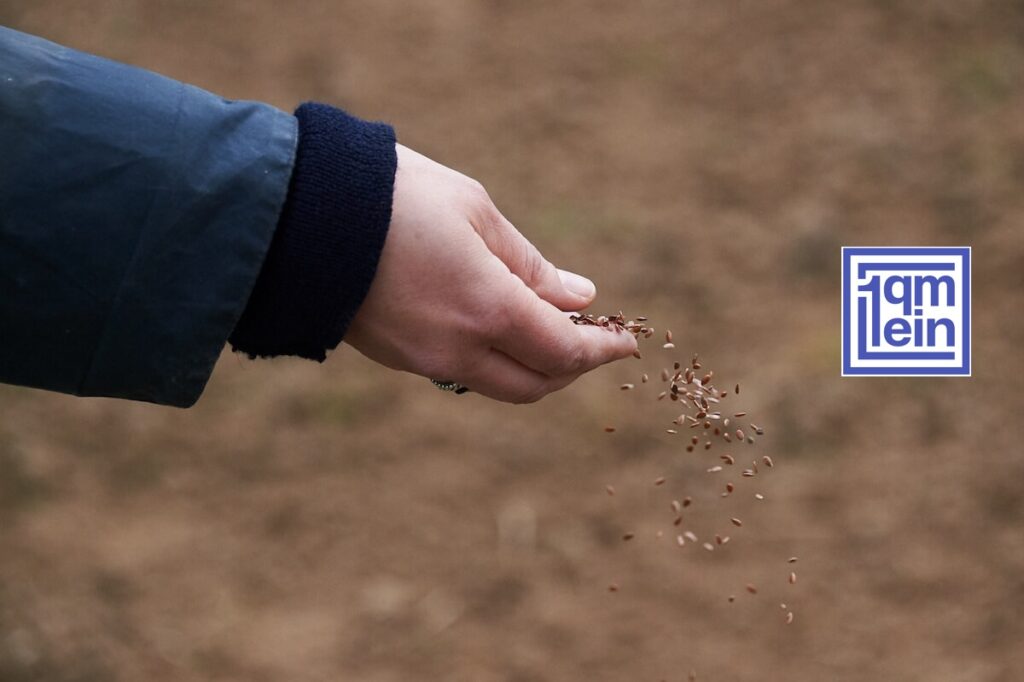 Ein Quadratmeter Lein (Podcast #035)