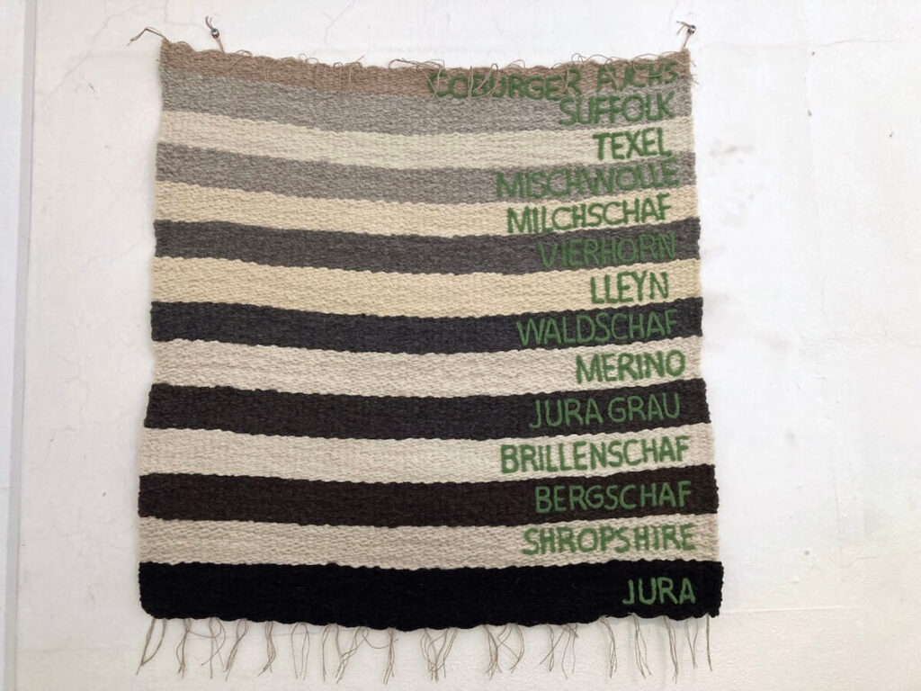 Bericht vom „Wollsymposium – Zukunft für regionale Schafwolle“ in Ebensee