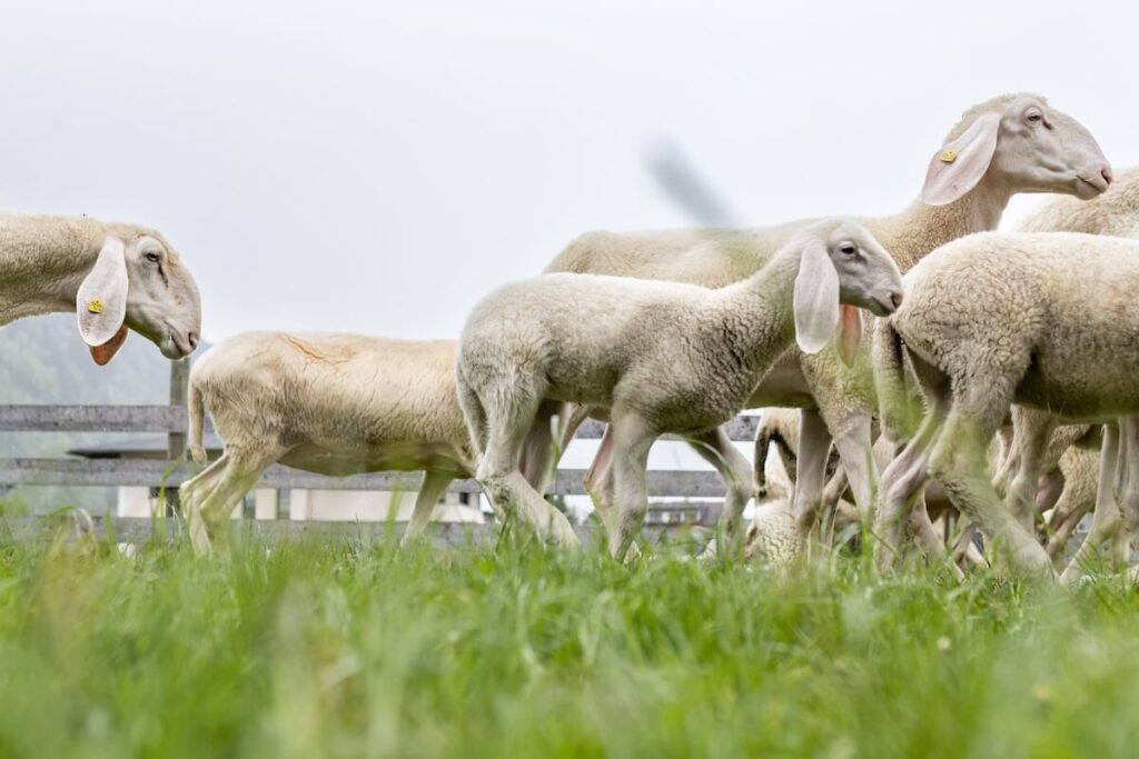 Zu Gast im Podcast „fair & female“