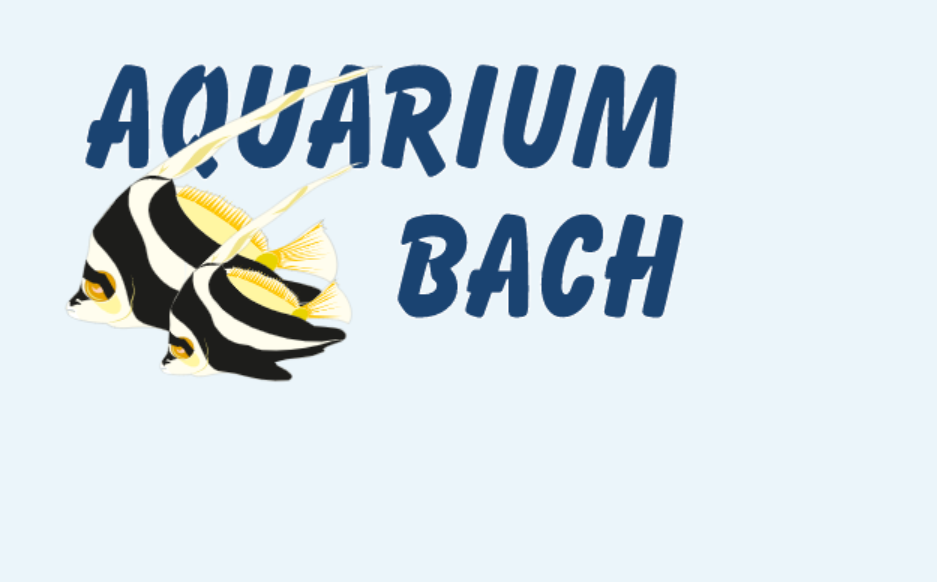 Woll- und Bastelstube – Aquarium Back