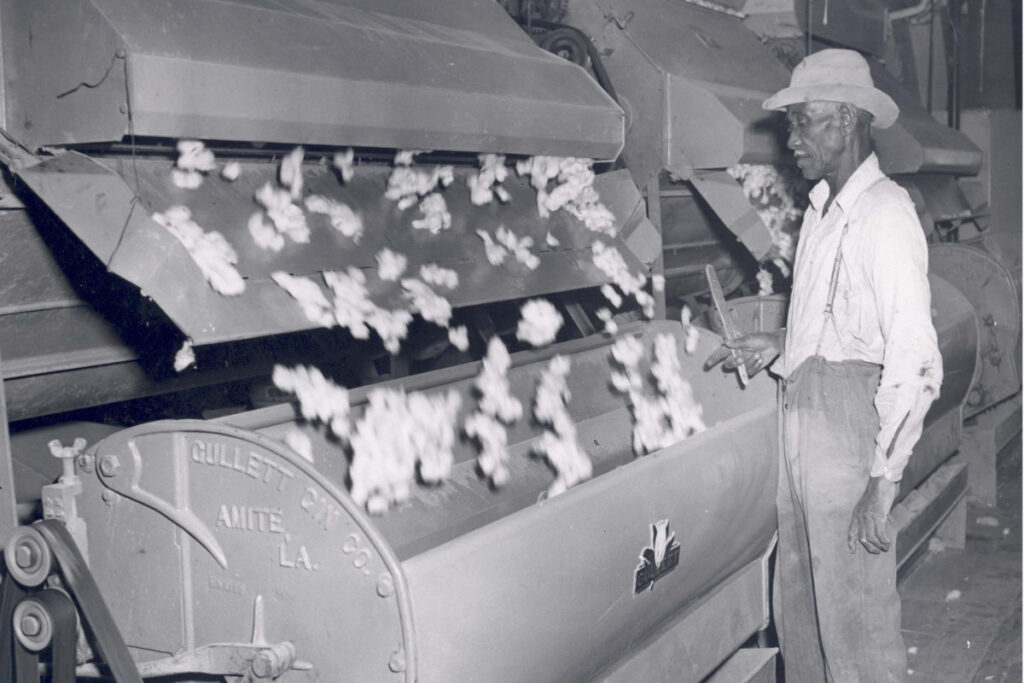 Empire of Cotton: Baumwolle als Spiegel des globalen Kapitalismus (Podcast #043)